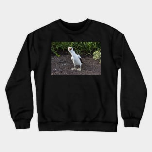 Well Hello!! Crewneck Sweatshirt